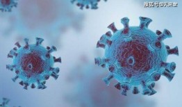 《病毒》在线观看,揭秘病毒起源与全球抗疫历程